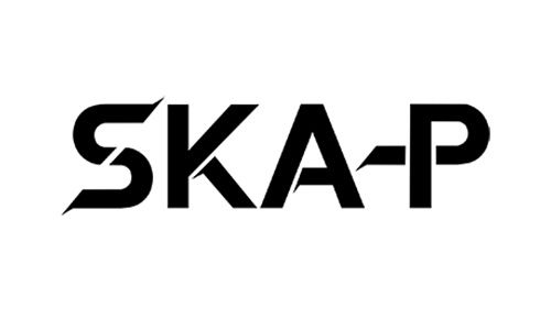 logo SKAP